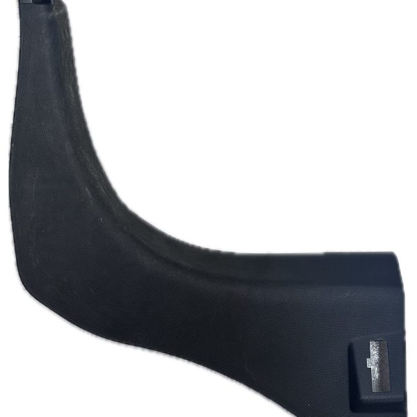 Rear Door Sill Trim LH 7698375589R