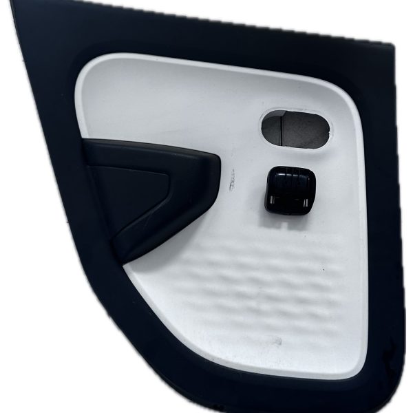 LH Rear Door Panel
