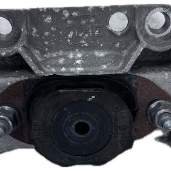 Transmission Mount 112202847R