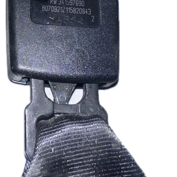 Seatbelt Buckle Rear 878162954R
